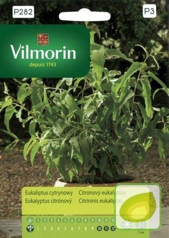 Nasiona Eukaliptus Cytrynowy