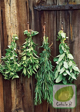 Nasiona Mieszanka Ziół "Herbaciane Popołudnie"