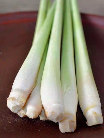 Nasiona Trawa Cytrynowa | Cytronella (Cymbopogon Citratus)