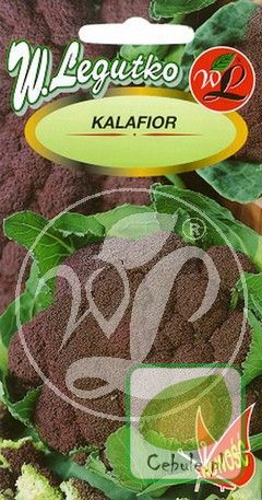 Nasiona Kalafior Fioletowy Di Sicilla Violetto