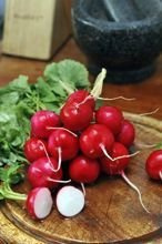 Nasiona Rzodkiewka Carmen