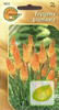 Nasiona Trytoma - Kniphofia