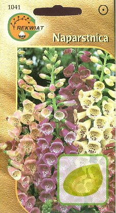 Nasiona Naparstnica Purpurowa - Digitalis