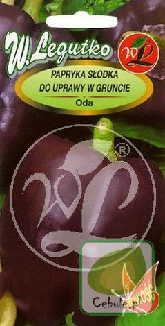 Nasiona Papryka Słodka Oda - Fioletowa