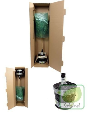 Lawenda Zioło w Doniczce Duże Sadzonki 4 szt.