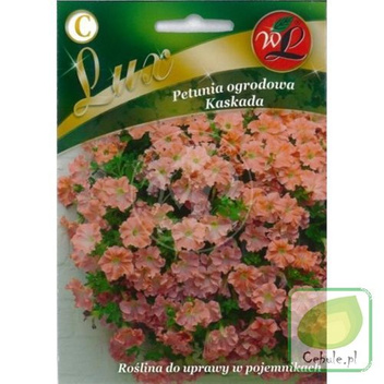 Nasiona Petunia Ogrodowa Kaskada Łososiowa