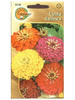 Nasiona Cynia Daliowa Mieszanka Kolorów