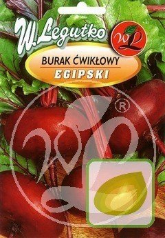 Nasiona Burak Egipski Ćwikłowy