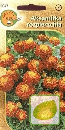 Nasiona Aksamitka Rozpierzchła Mix.