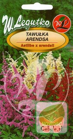 Nasiona Tawułki Mieszanka Kolorów - Arendsa