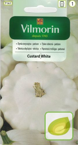 Nasiona Dynia Zwyczajna Patison Custard White
