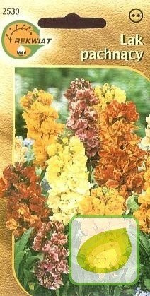 Nasiona Lak Pachnący Mix.