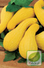 Nasiona Dynia Ozdobna Yellow Croockneck