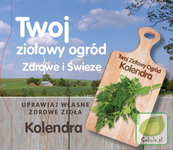 Zestaw Twój Ziołowy Ogród 4 gatunki - Nasiona + Ziemia + Wiaderka
