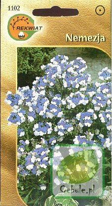 Nasiona Nemezja Dwubarwna Niebieskobiała