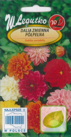 Nasiona Dalia Niska Półpełna Mix Kolorów