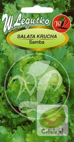 Nasiona Sałata Krucha Samba Wczesna