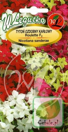 Nasiona Tytoń Ozd. Roulettef2 - Mix Karłowy