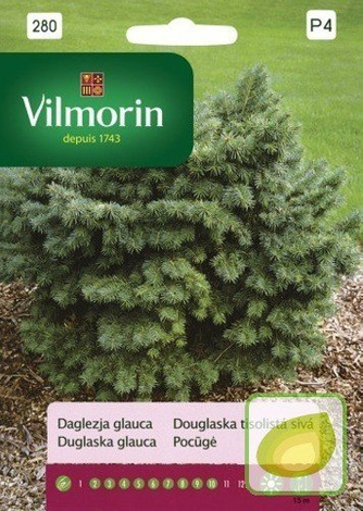 Nasiona Daglezja Zielona - Pseudotsuga Menziesii