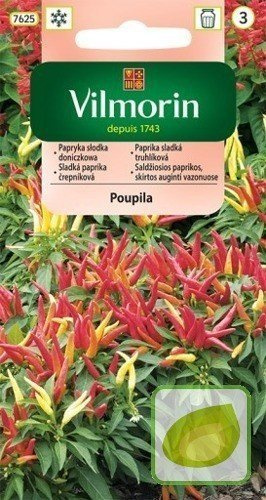 Nasiona Papryczka DONICZKOWA Poupila - wczesna