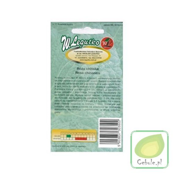 Nasiona Róża Chińska Różowa W Odcieniach