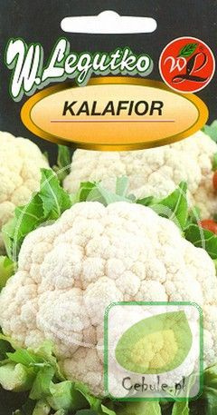 Nasiona Wczesny - Kalafior Snowball Białe Róże