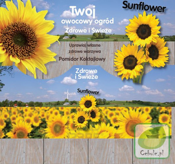 Warzywa do uprawy domowej "2 w 1" 4 gatunki - Nasiona + Ziemia + Doniczki