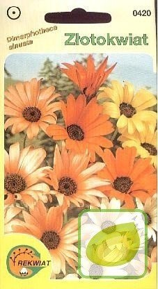 Nasiona Złotokwiat Mix.