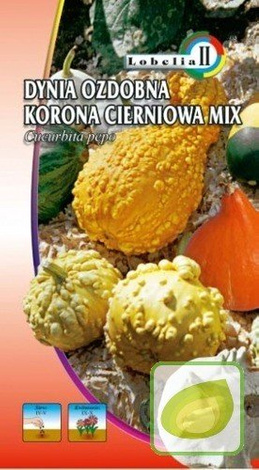 Nasiona Dynia Ozdobna Korona Cierniowa Mix.