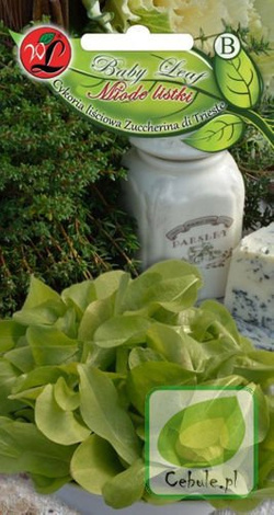 Nasiona Sałata Liściowa Lollo Bionda - Baby Leaf
