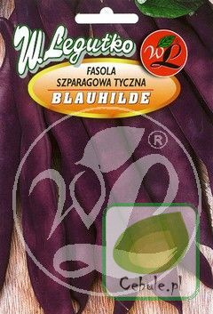 Nasiona Fasola Szparagowa Tyczna Fioletowa Blauhilde