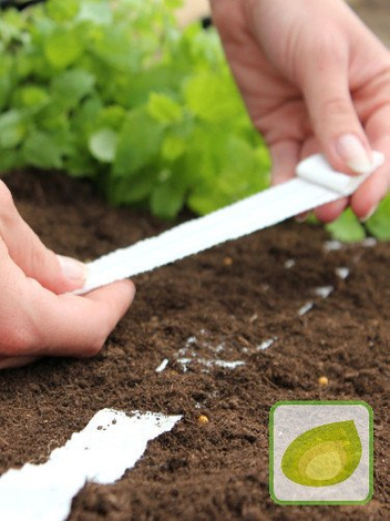 Nasiona Mieszanka balkonowa - TAŚMA