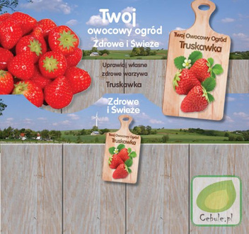 Warzywa do uprawy domowej "2 w 1" 4 gatunki - Nasiona + Ziemia + Doniczki