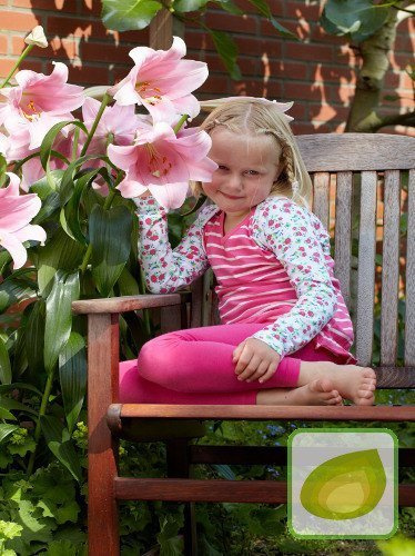 Lilia (Lilium) Bell Song