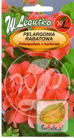 Nasiona Pelargonia Rabatowa Gama F1 Łososiowa