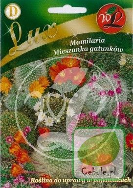 Nasiona Mamilaria Mieszanka Gatunków