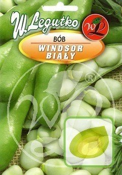 Nasiona Bób Windsor Bialy