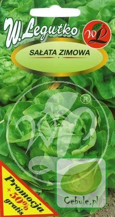 Nasiona Sałata Zimowa Meraviglia D'Inverno