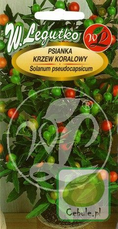 Nasiona Psianka, Krzew Koralowy Czerwony