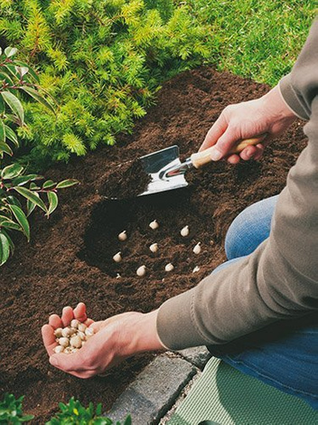 Użyźniacz Glebowy pod Rośl. Cebulowe i Byliny 2,5L