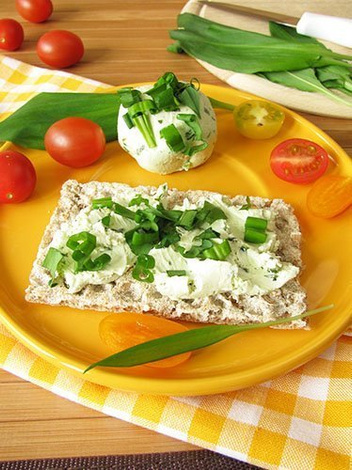 Sadzonki Czosnek niedźwiedzi (Allium ursinum)