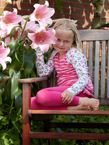Lilia (Lilium) 'Bell Song'