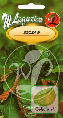 Nasiona Szczaw Lyoński Szybko Rosnący