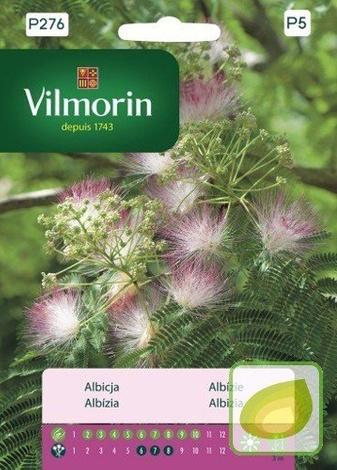 Nasiona Albizia Julibrissin - Świecące Jedwabne Drzewo