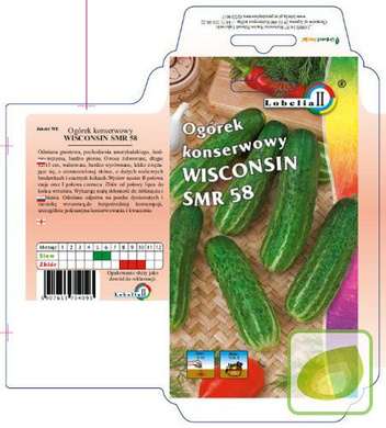 Nasiona Ogórek Gruntowy Wisconsin Smr 58