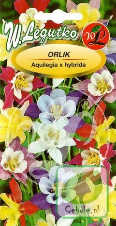 Nasiona Orliki Mieszanka Kolorów - Aquilegia