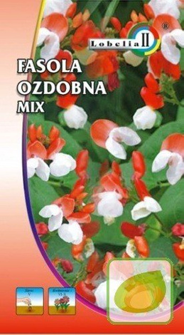 Nasiona Fasola Ozdobna Pnąca