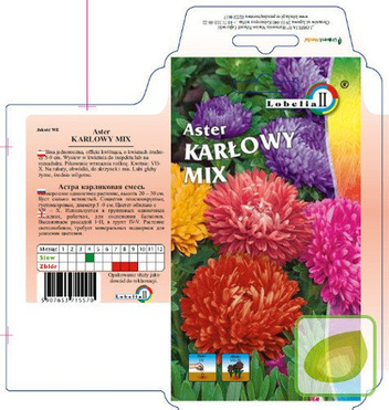 Nasiona Aster Chiński Karłowy - Callistephus