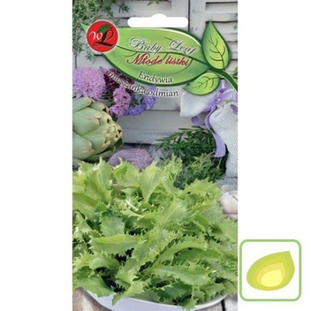 Nasiona Endywia Mieszanka Odmian - Baby Leaf
