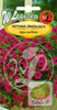 Nasiona Surfinia Rubina - Petunia Zwisająca
